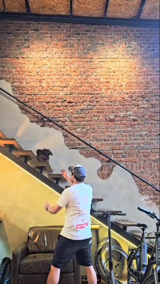 Post 9 by Andres Rodriguez on Instagram (video)