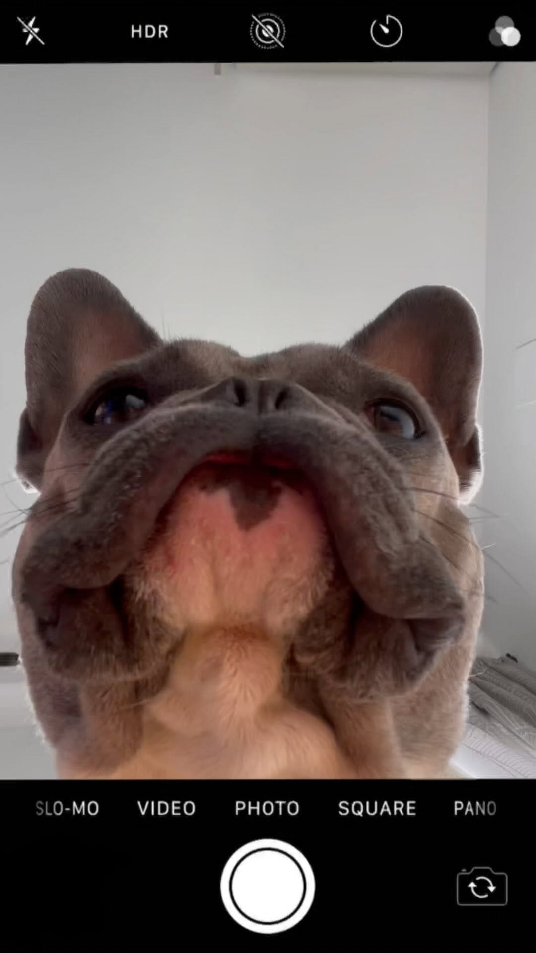 Post 6 by Curro on Instagram (video)