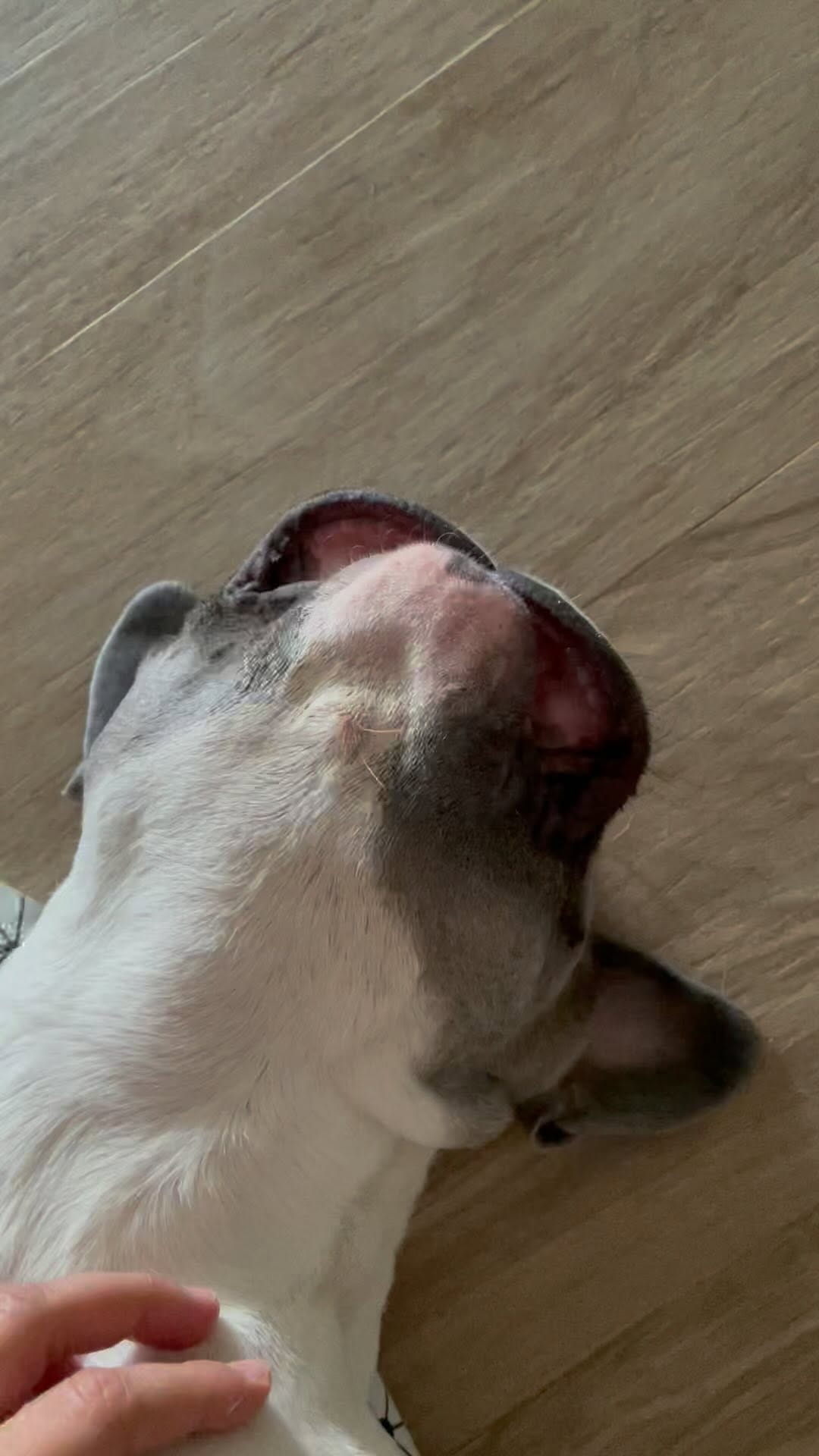 Post 9 by Curro on Instagram (video)