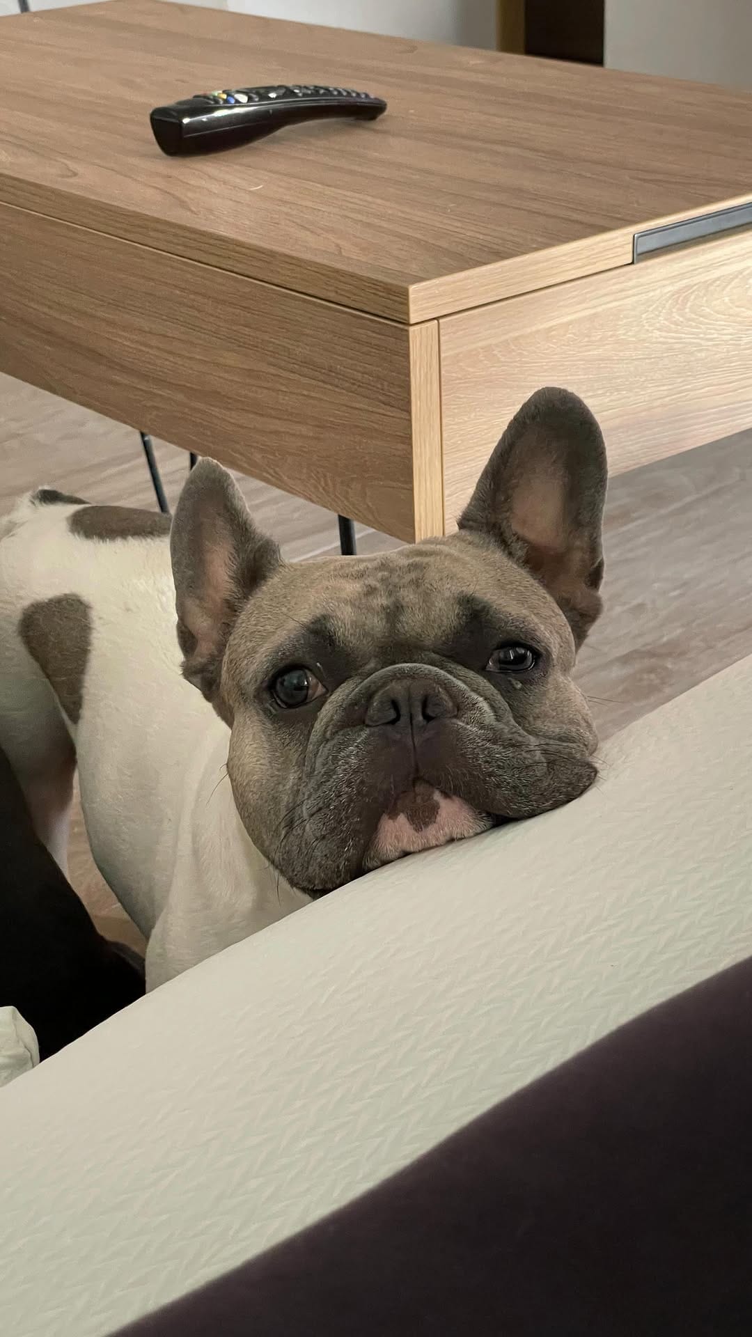 Post 3 by Curro on Instagram (video)