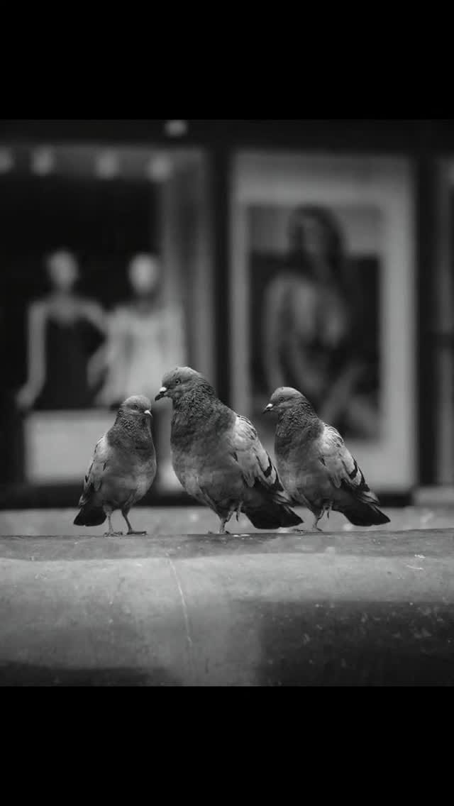 Post 5 by Travel photos. on Instagram (video)