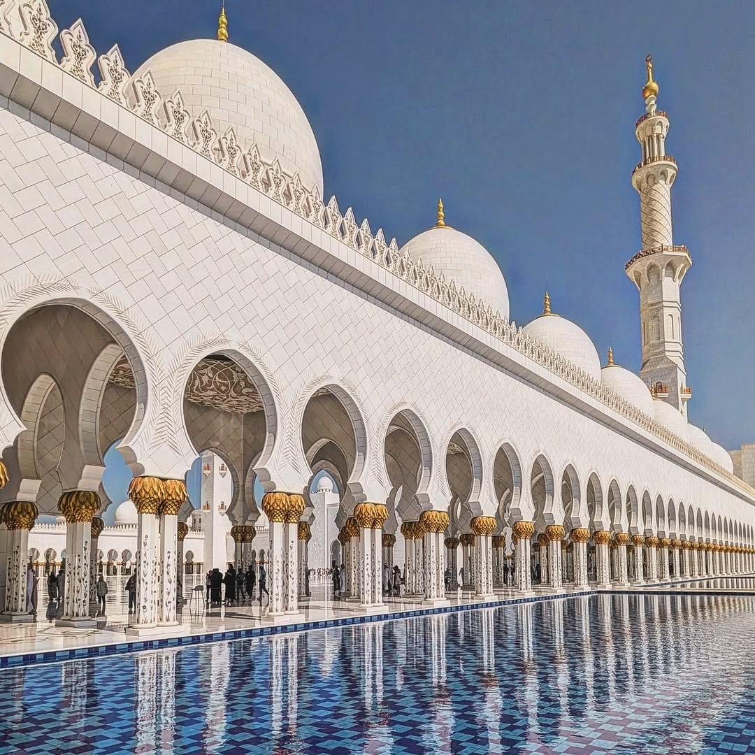 Post 4 by Amin Hassouna  أمين حسونة on Instagram (image)