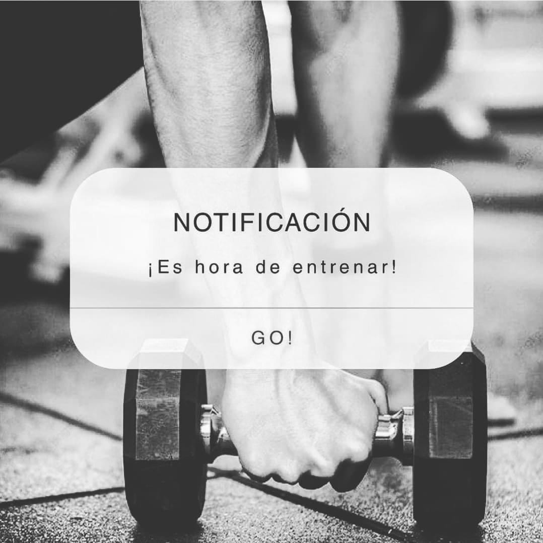 Post 5 by Soluciones Fit León on Instagram (image)