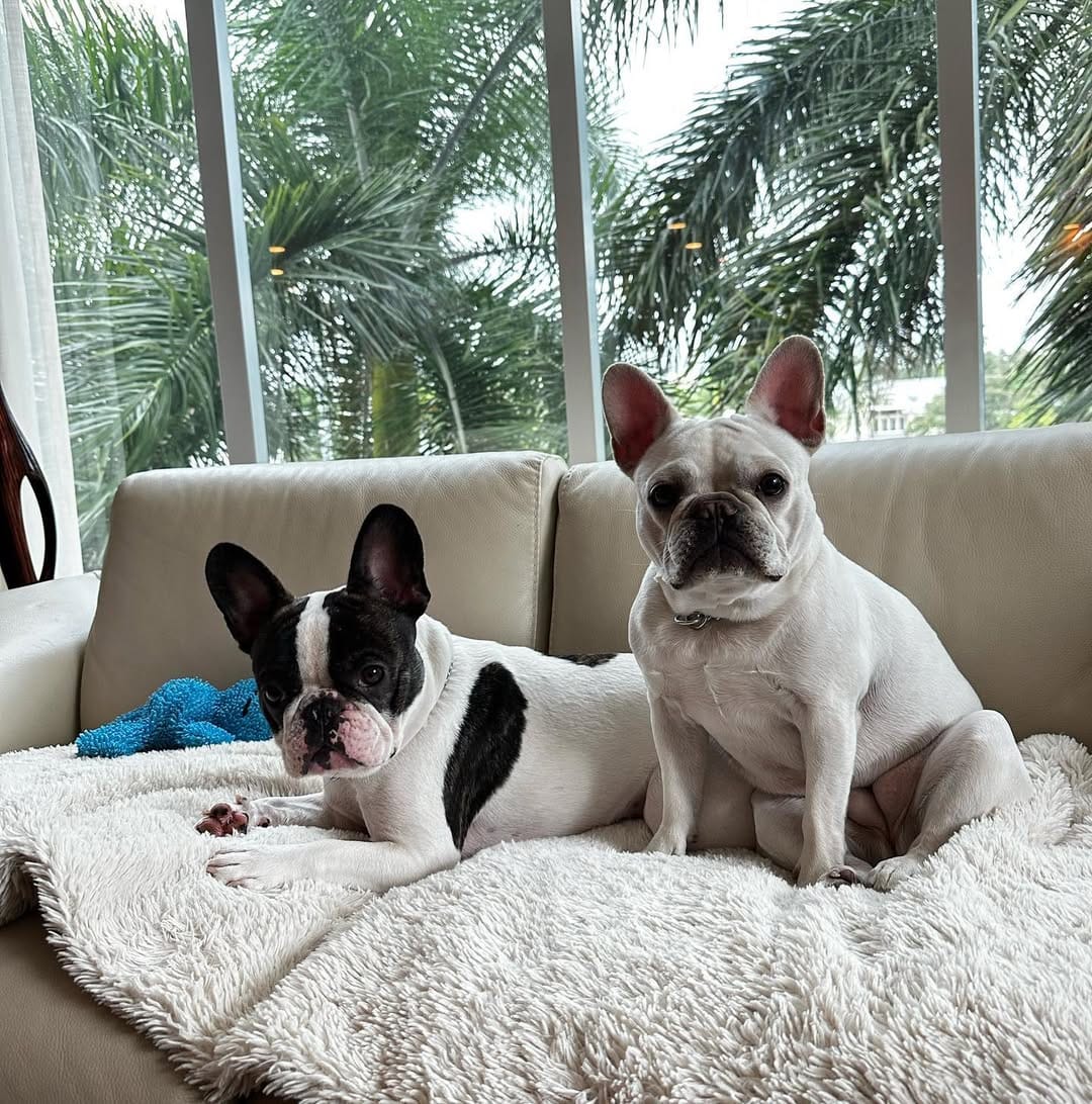 Post 10 by ¡Mac & Brie! on Instagram (image)
