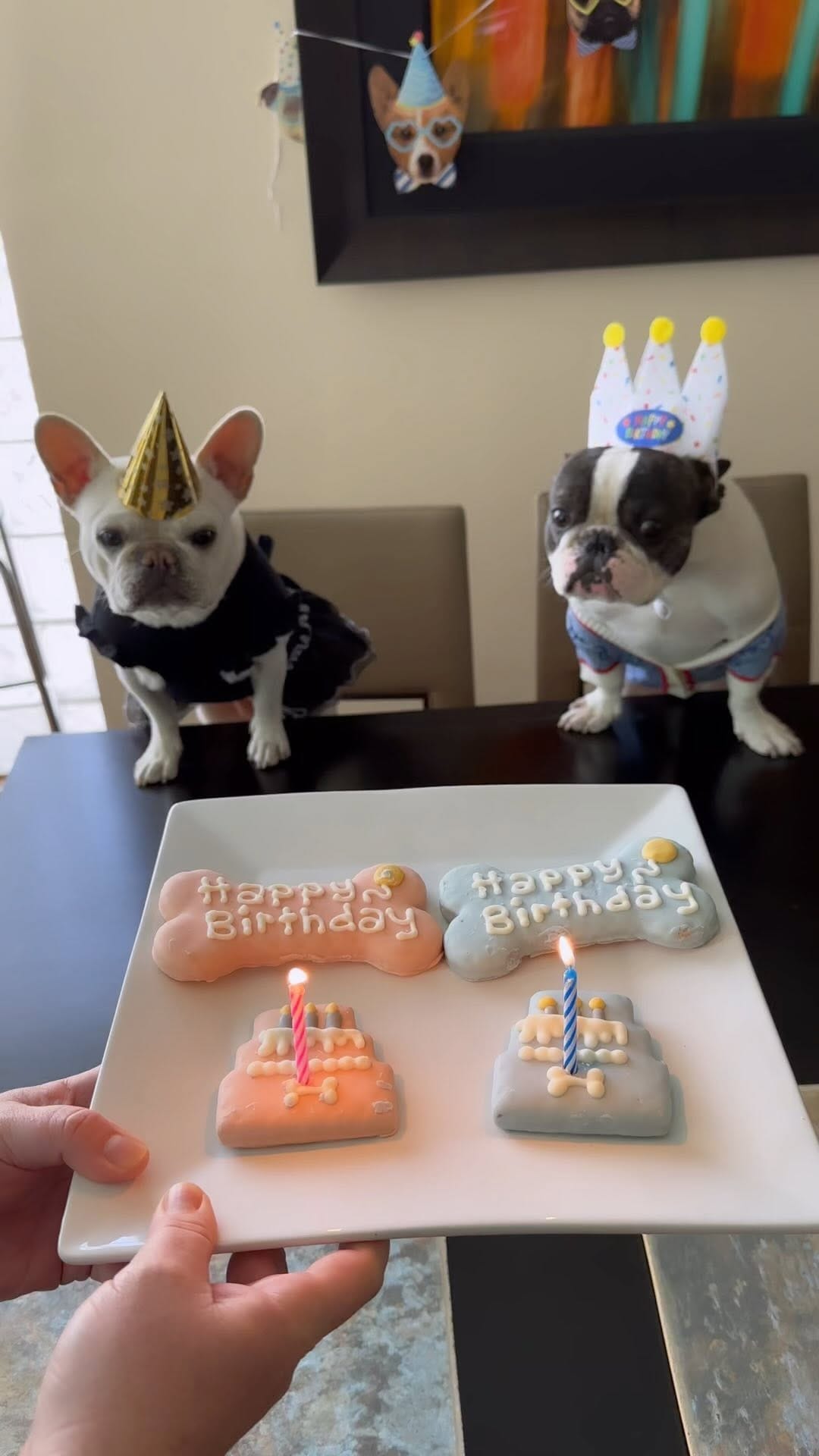 Post 6 by ¡Mac & Brie! on Instagram (video)
