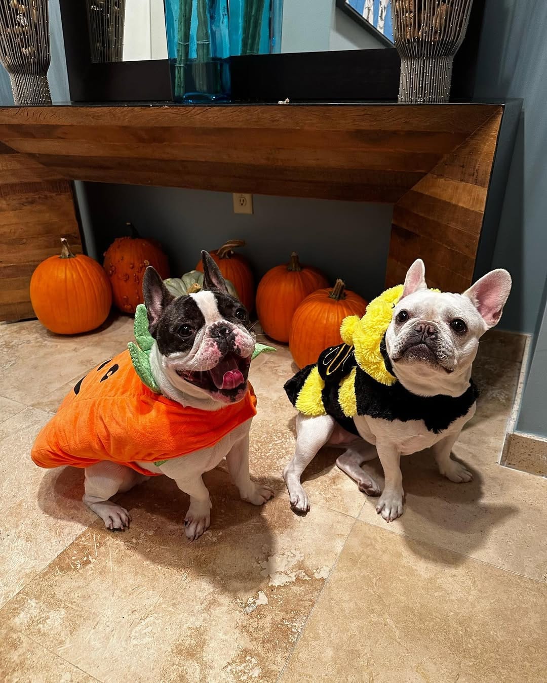 Post 8 by ¡Mac & Brie! on Instagram (carousel)