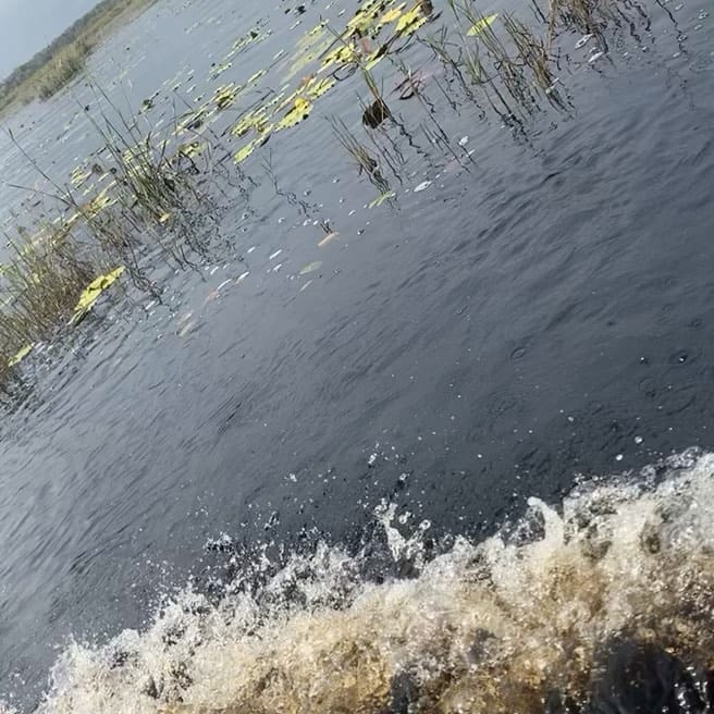Post 10 by Lhauretta Nelson on Instagram (video)