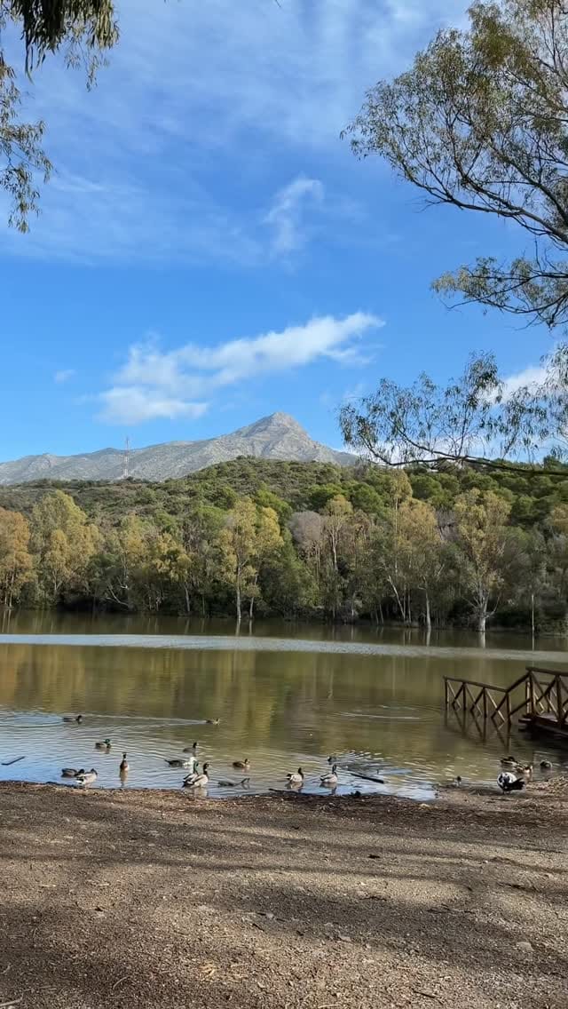 Post 3 by Marbella Chic- Magazine de actualidad de la Costa del Sol on Instagram (video)