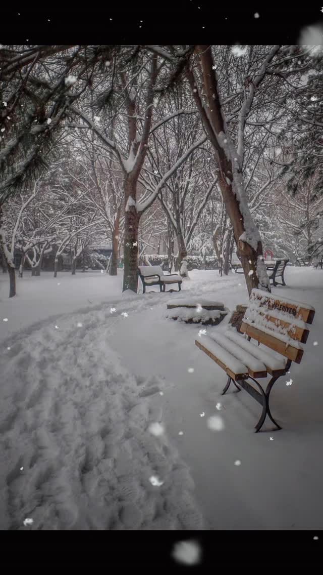 Post 4 by Derya Bozkurt on Instagram (video)