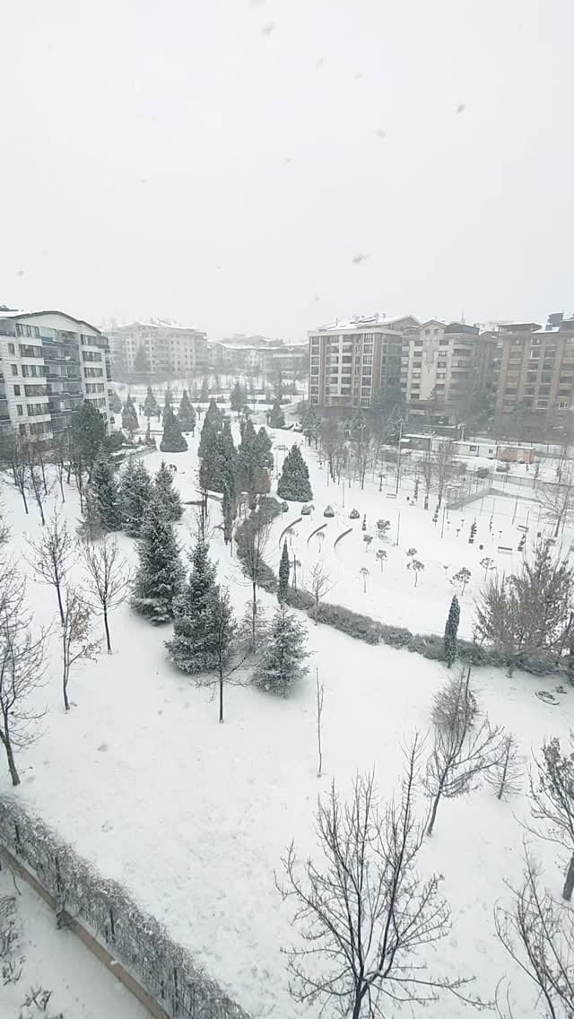 Post 2 by Derya Bozkurt on Instagram (video)