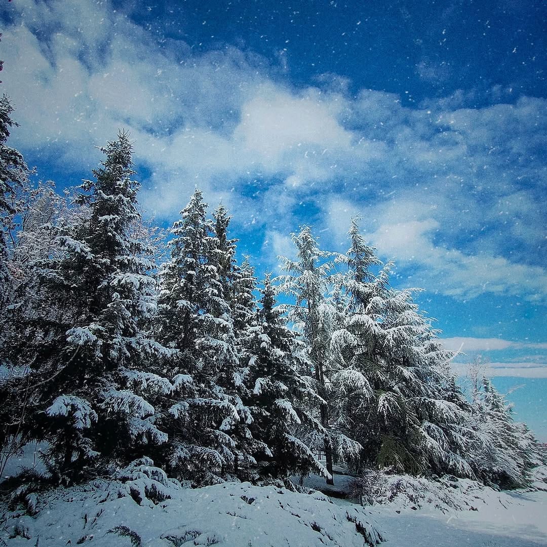 Post 5 by Derya Bozkurt on Instagram (image)