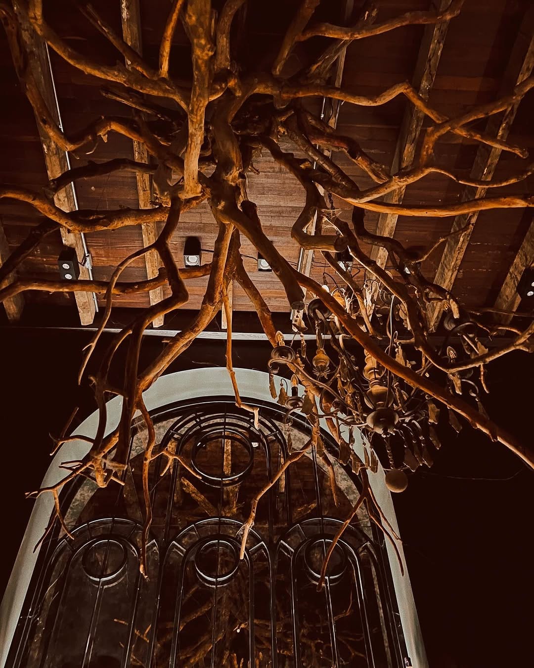 Post 6 by Oenophile / Sommelier ~ Marelize Louw on Instagram (image)