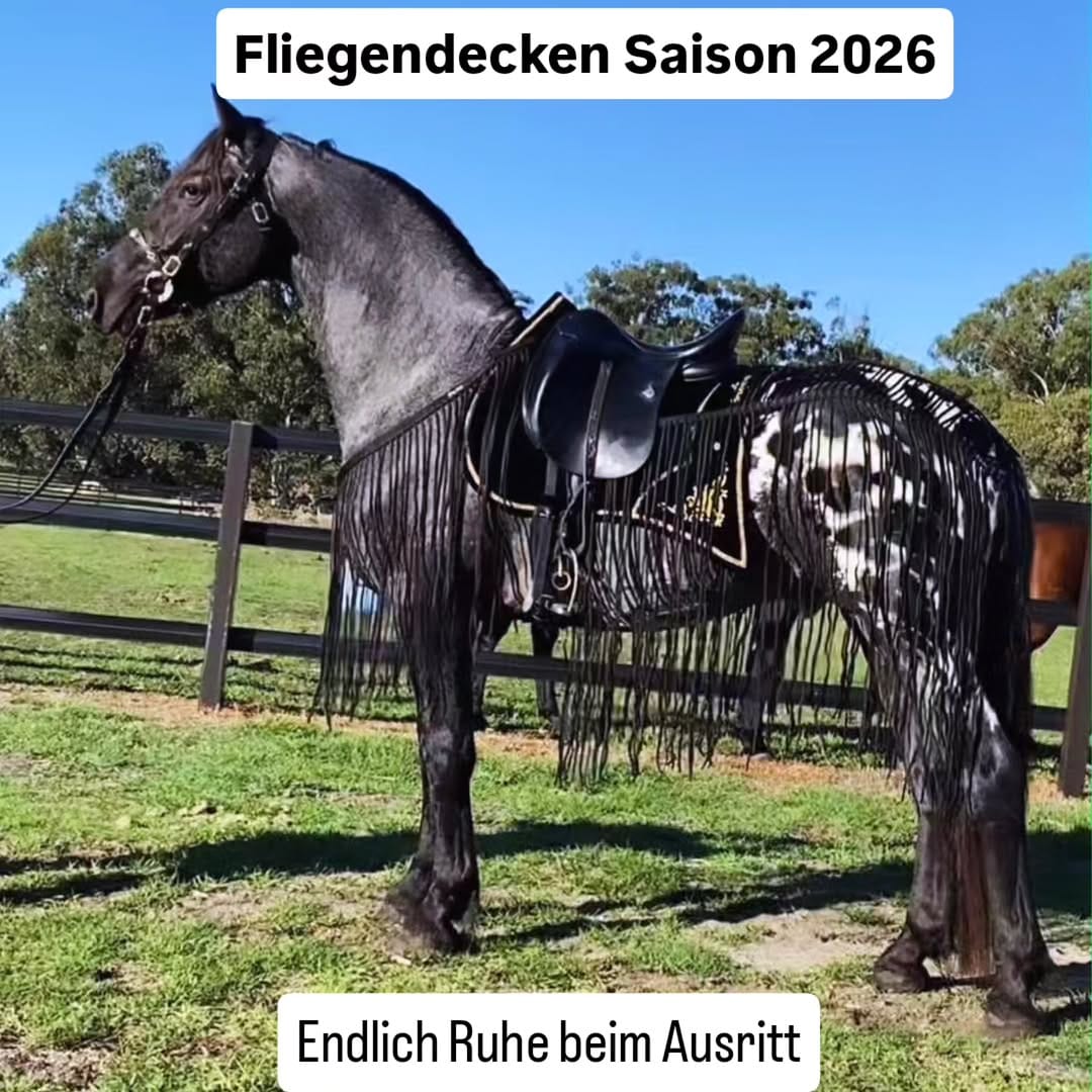 Post 1 by Pearl Schabracken Manufaktur on Instagram (carousel)