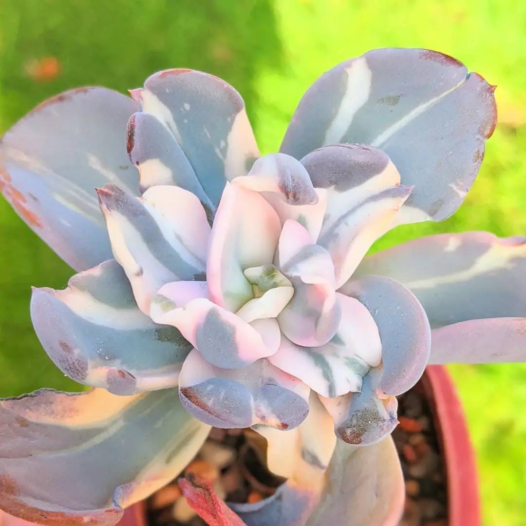 Post 7 by Lucy - Just4Succs on Instagram (carousel)
