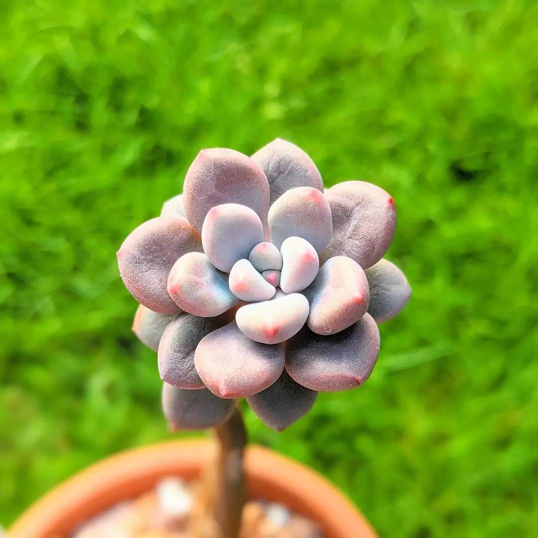 Post 5 by Lucy - Just4Succs on Instagram (carousel)