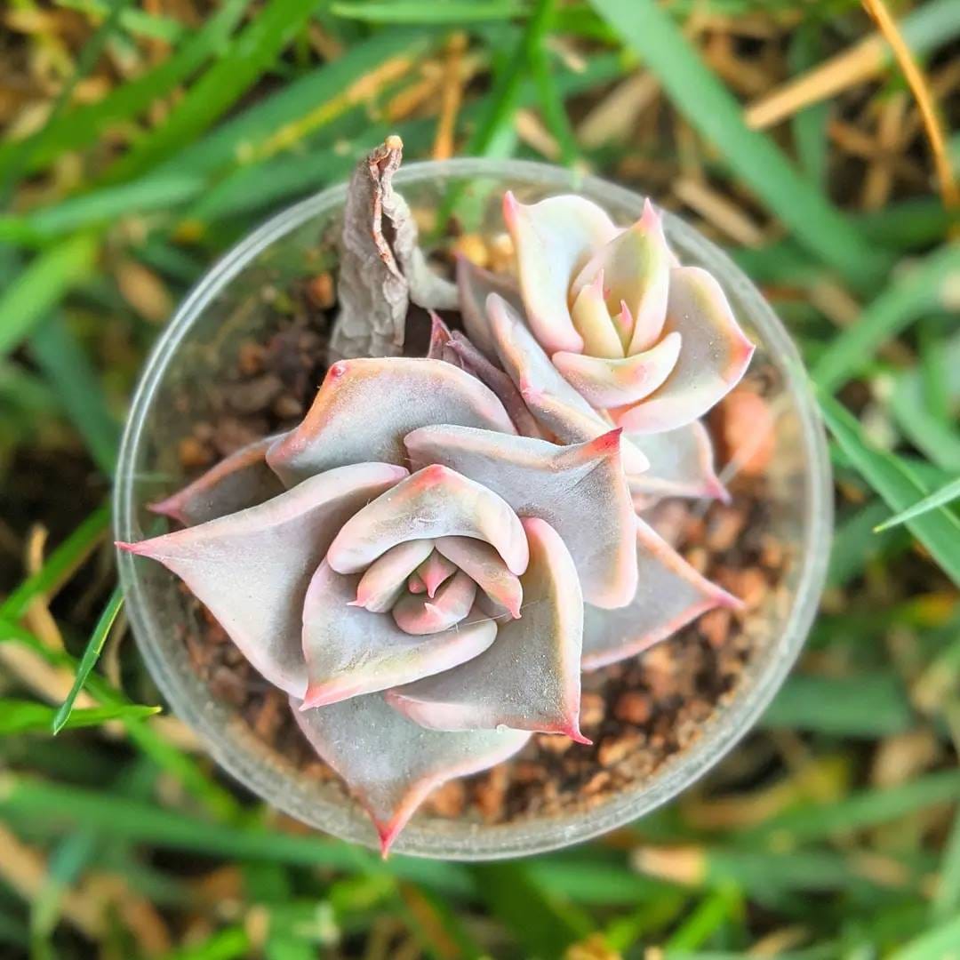 Post 10 by Lucy - Just4Succs on Instagram (carousel)