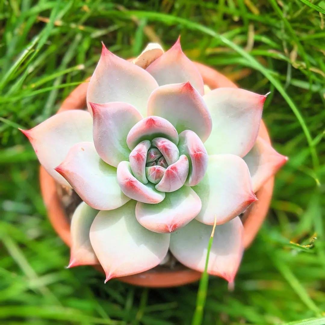 Post 9 by Lucy - Just4Succs on Instagram (carousel)