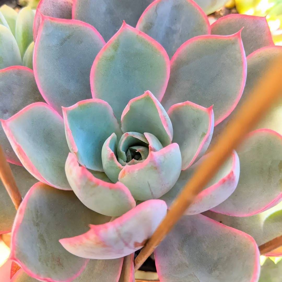 Post 8 by Lucy - Just4Succs on Instagram (carousel)