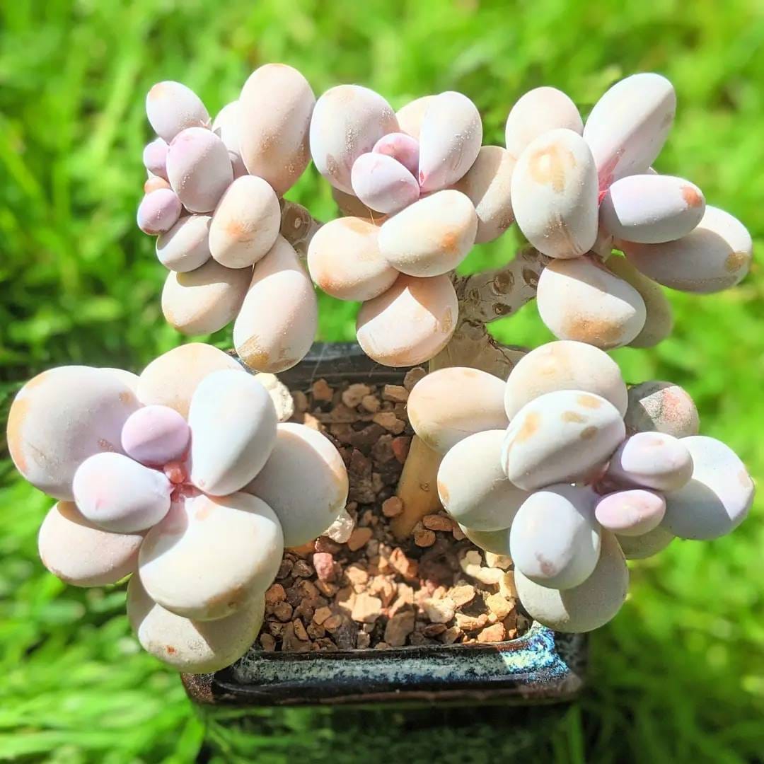 Post 6 by Lucy - Just4Succs on Instagram (carousel)
