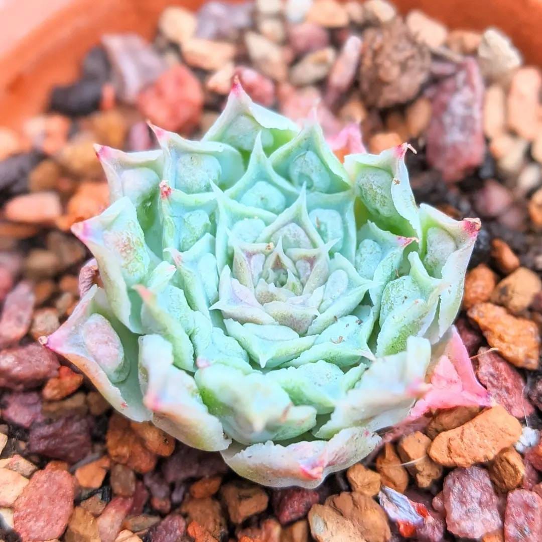 Post 3 by Lucy - Just4Succs on Instagram (carousel)