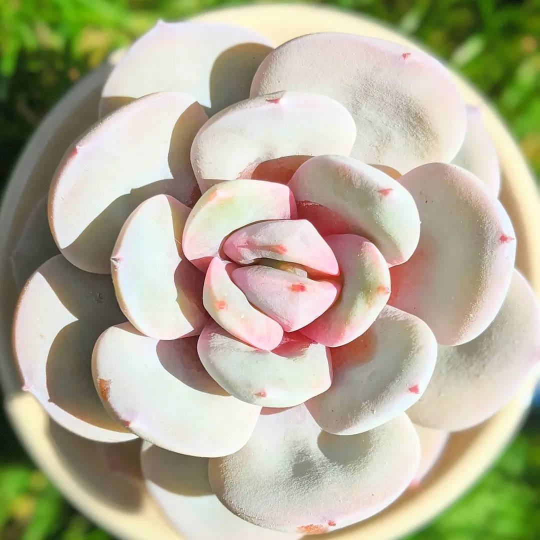 Post 4 by Lucy - Just4Succs on Instagram (carousel)