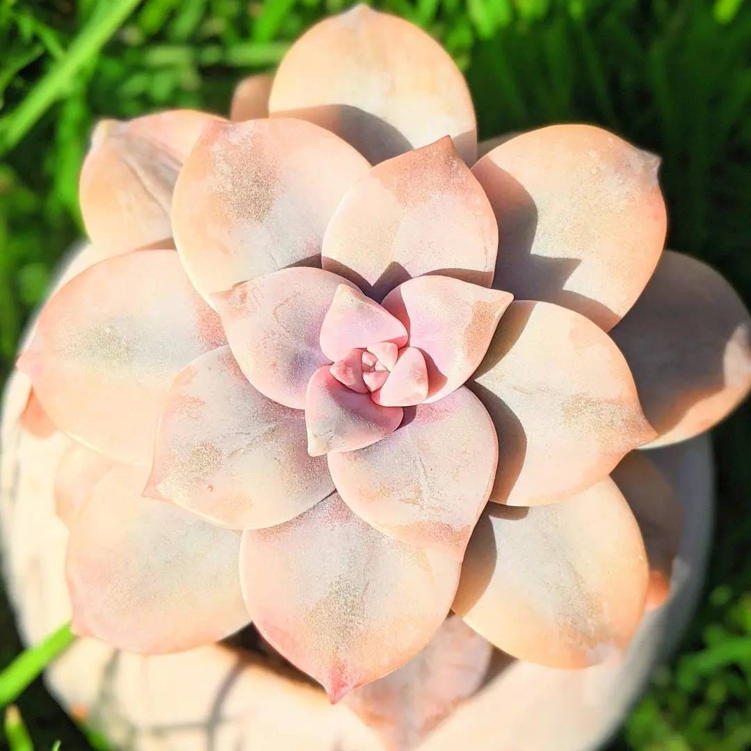Post 2 by Lucy - Just4Succs on Instagram (carousel)