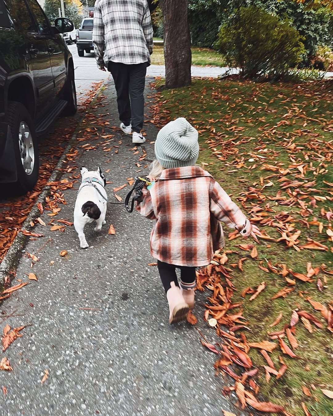 Post 3 by NOVEL SUPPLY CO. - SUSTAINABLE VANCOUVER APPAREL on Instagram (image)