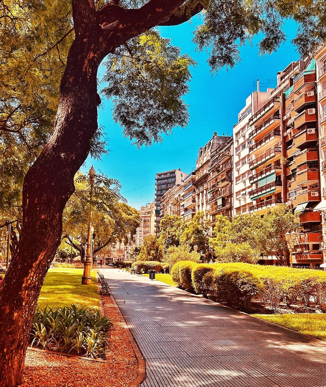 Post 2 by Rod Quevedo on Instagram (image)