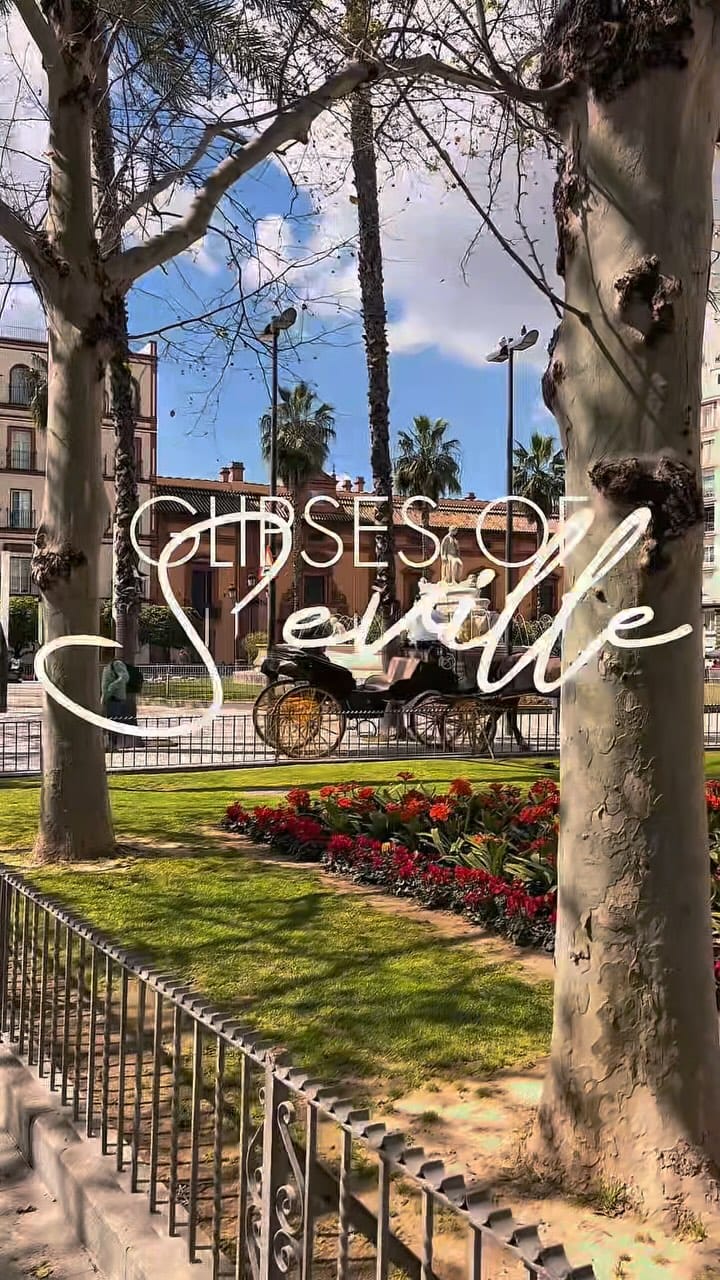 Post 10 by Laura Innocenti Winfield on Instagram (video)