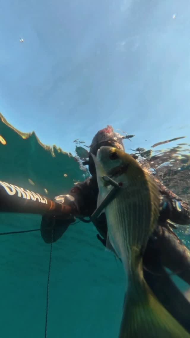 Post 8 by Mehmet Ali OKKALI on Instagram (video)