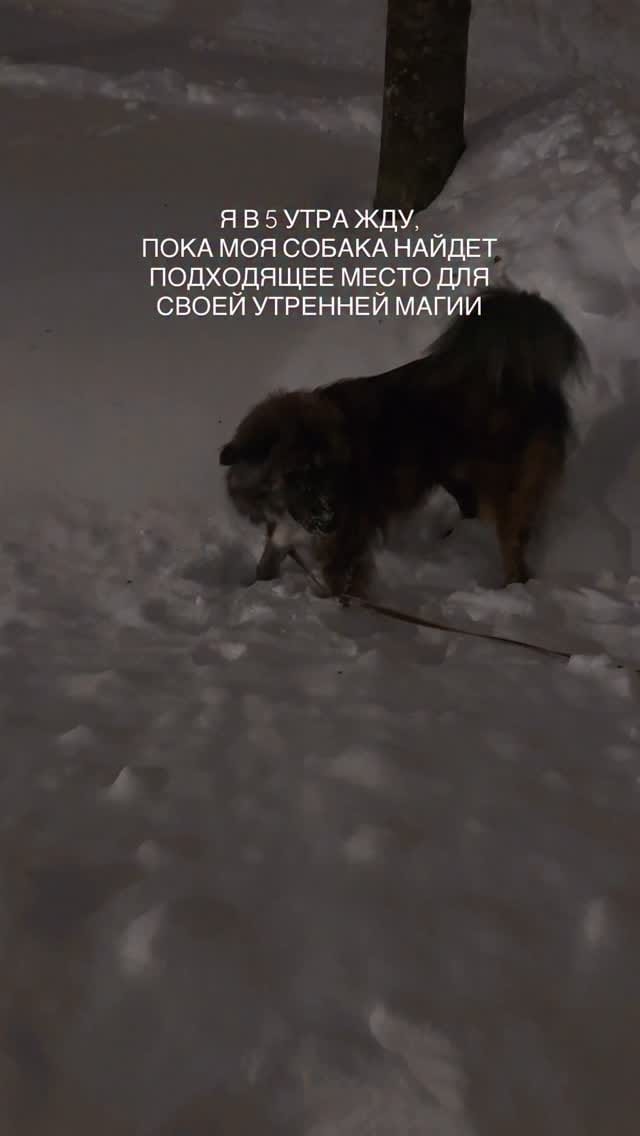 Post 9 by Jelena on Instagram (video)