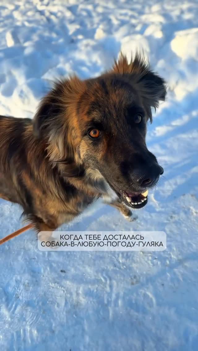 Post 1 by Jelena on Instagram (video)