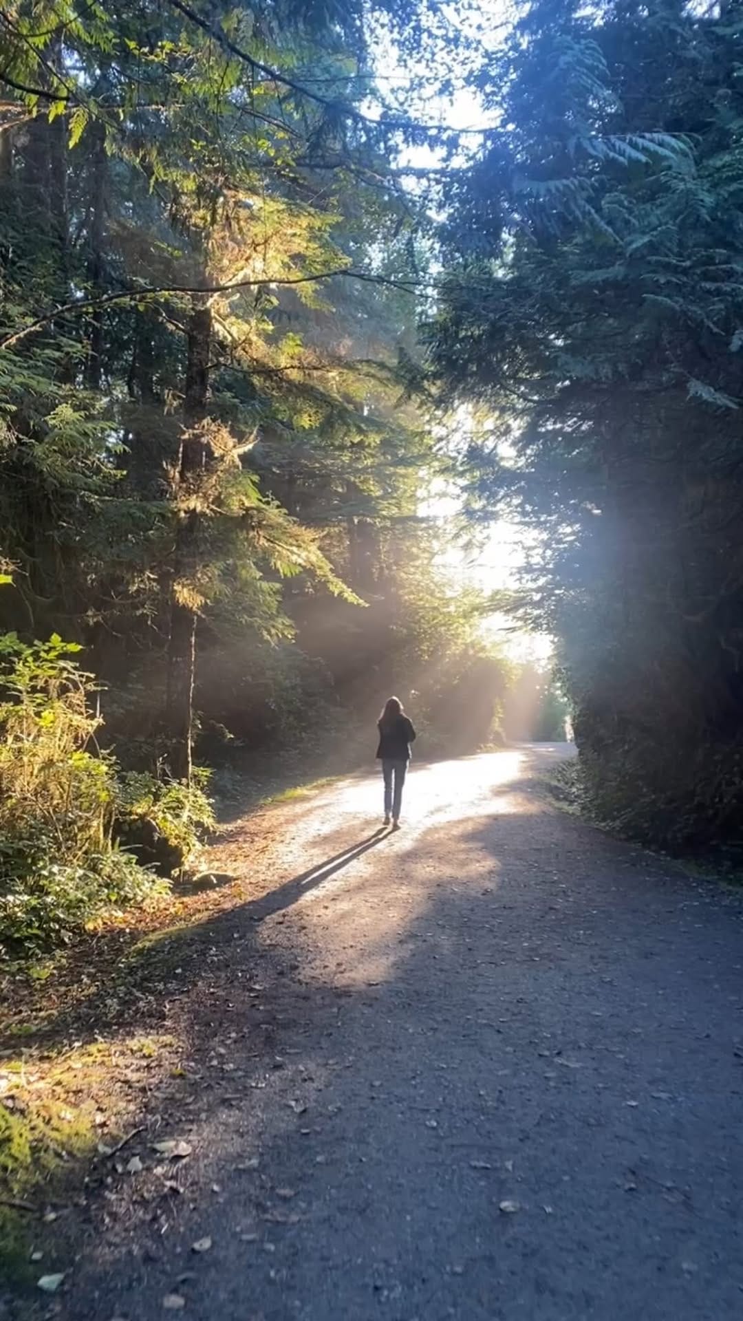 Post 9 by Jenni Davies on Instagram (video)