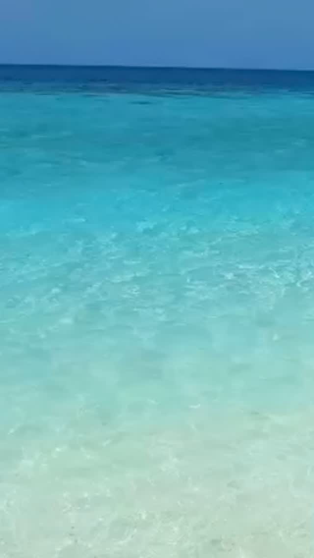 Post 1 by Tandav Raj on Instagram (video)