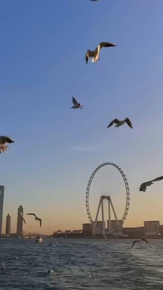 Post 7 by Tandav Raj on Instagram (video)