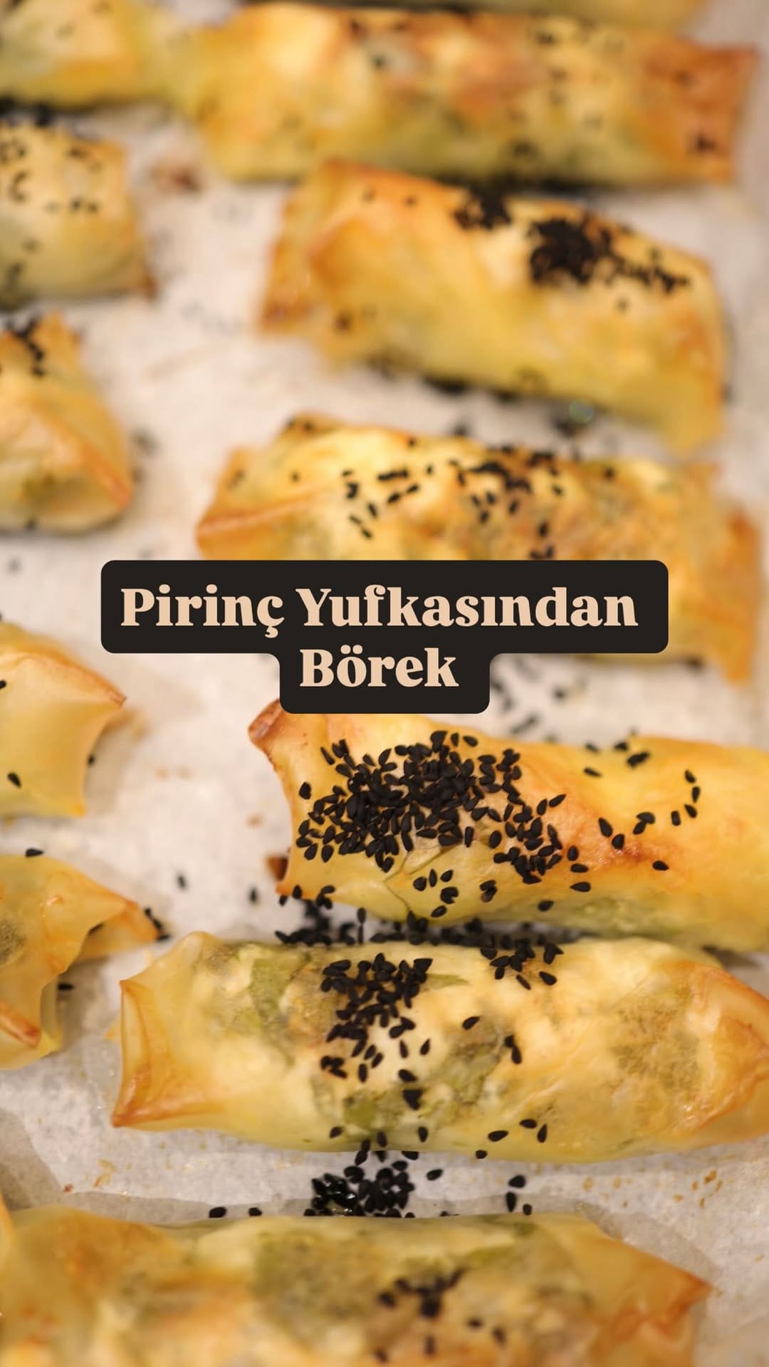 Post 8 by Ceren Tabak on Instagram (video)