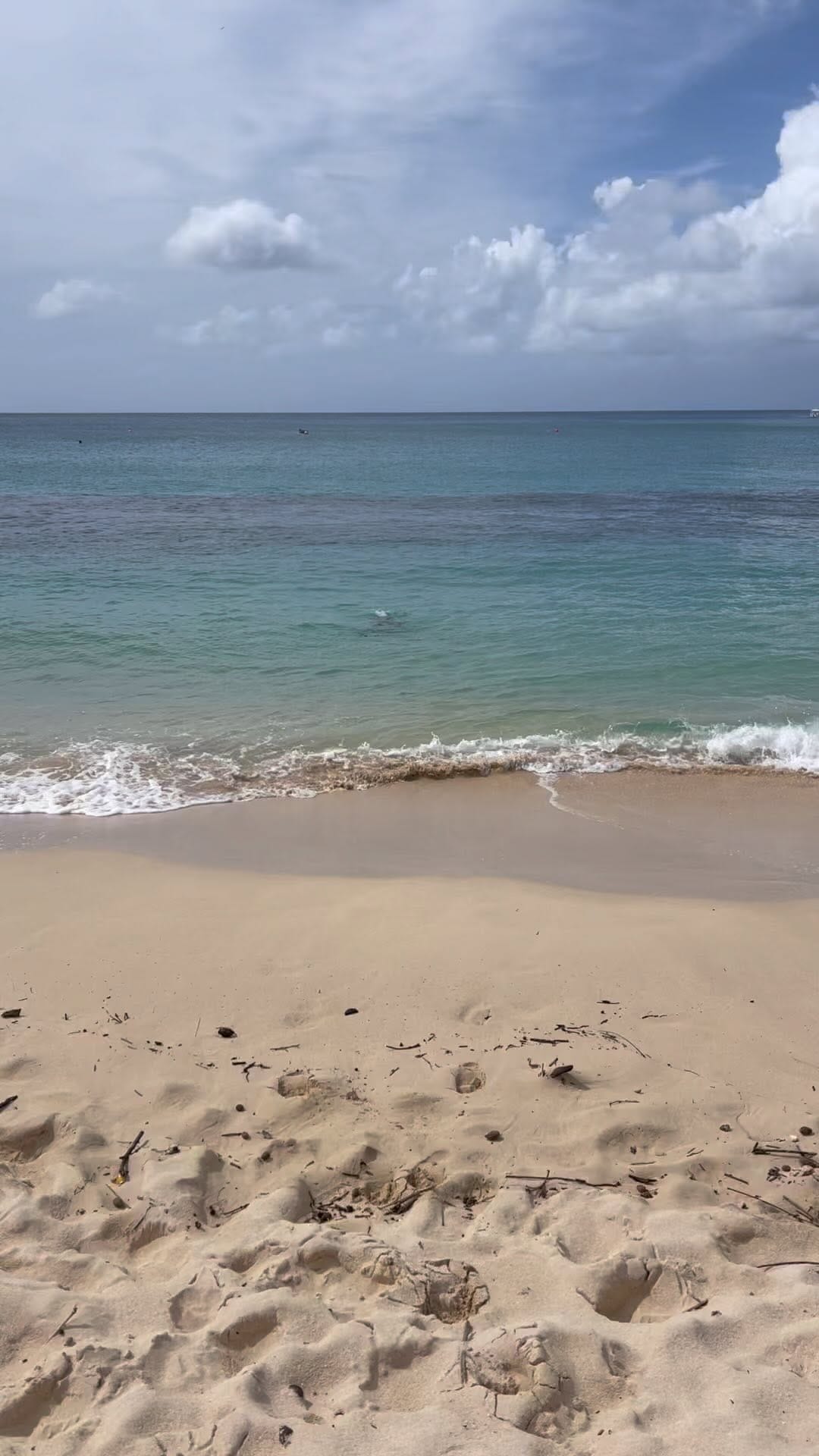 Post 10 by Alexis Low❤️‍🔥 on Instagram (video)