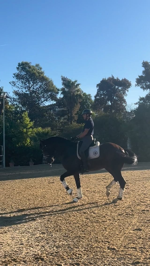 Post 8 by Antonio Verdejo on Instagram (video)