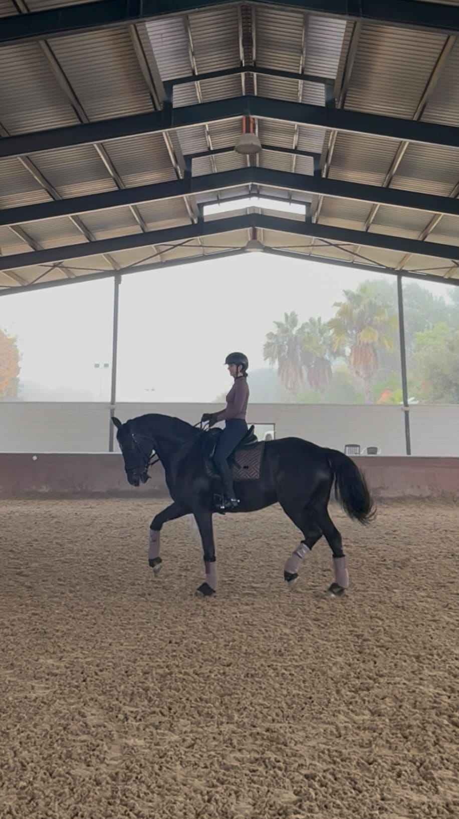 Post 3 by Antonio Verdejo on Instagram (video)
