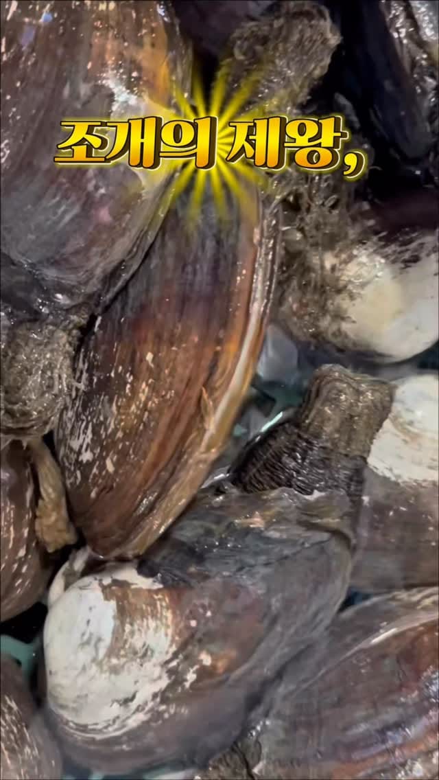 Post 2 by 이순신수산 on Instagram (video)
