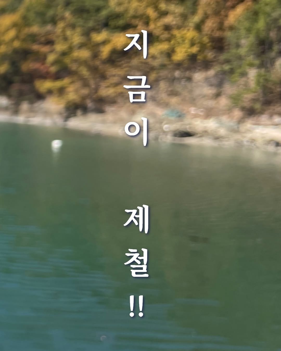 Post 8 by 이순신수산 on Instagram (image)