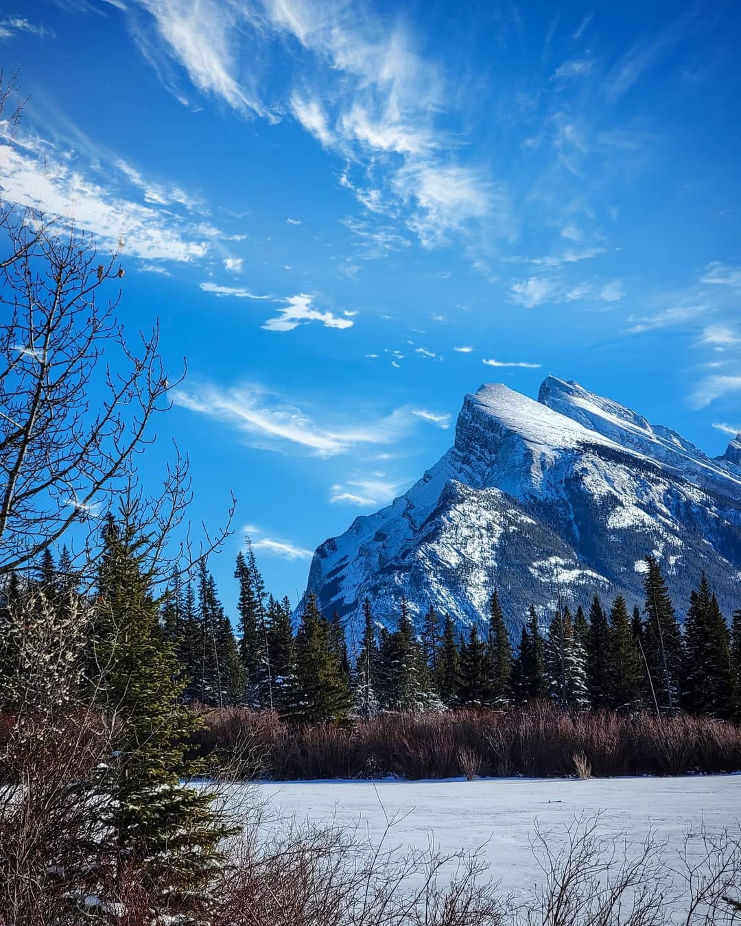 Post 3 by Adam Samycia on Instagram (image)