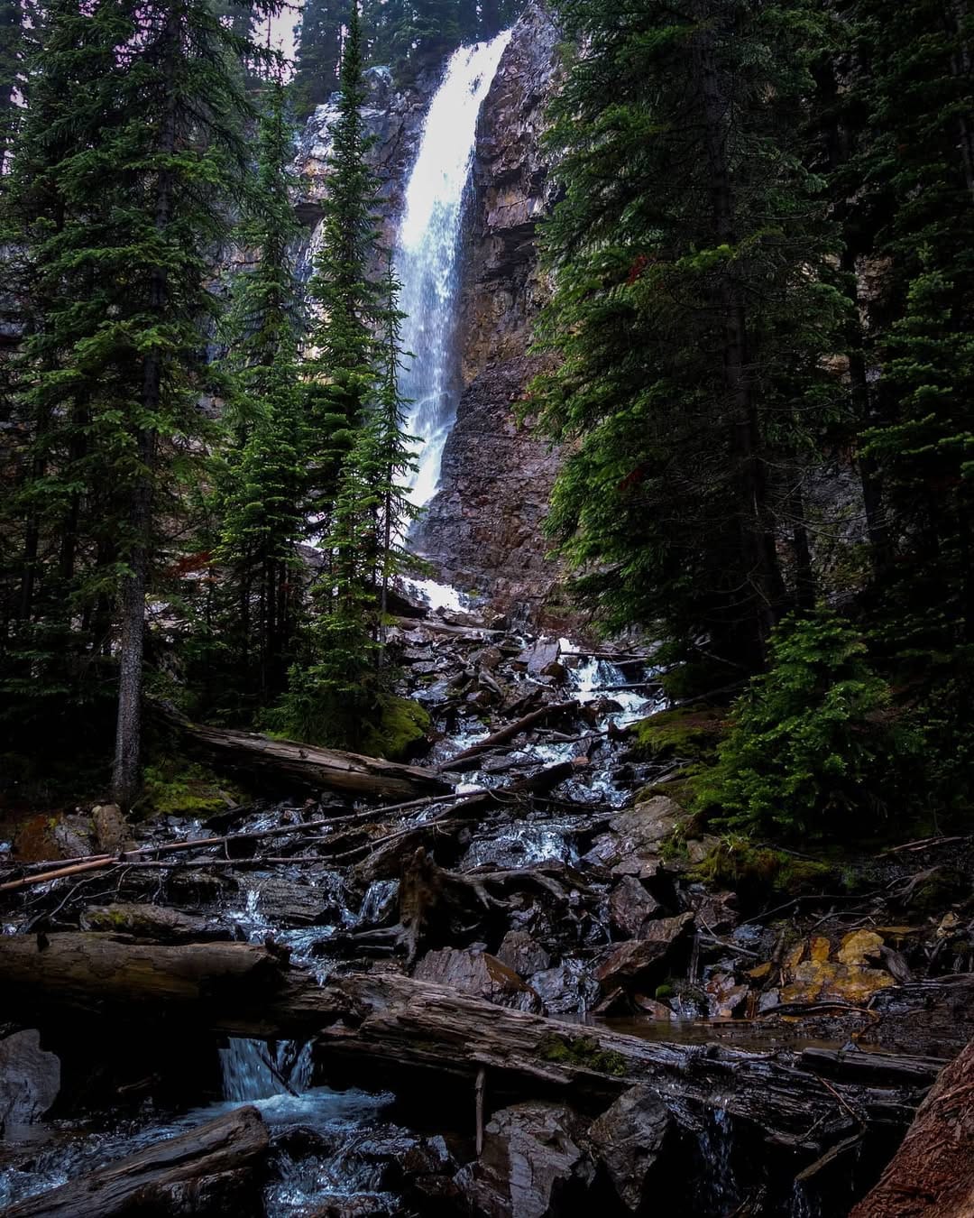 Post 9 by Adam Samycia on Instagram (image)