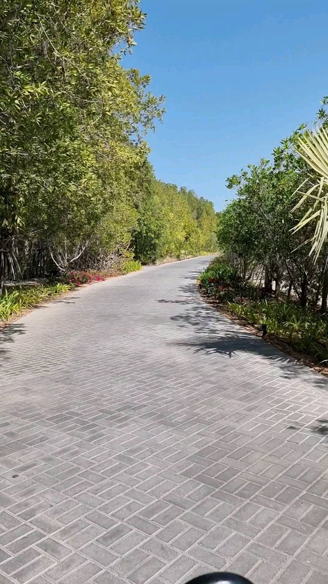 Post 7 by 𝕏𝕡𝕝𝕠𝕣𝕖𝕨𝕚𝕥𝕞𝕖 on Instagram (video)