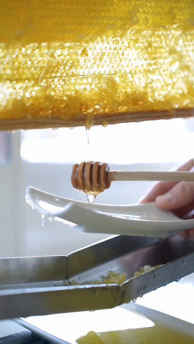 Post 4 by H O T E I S ® on Instagram (video)