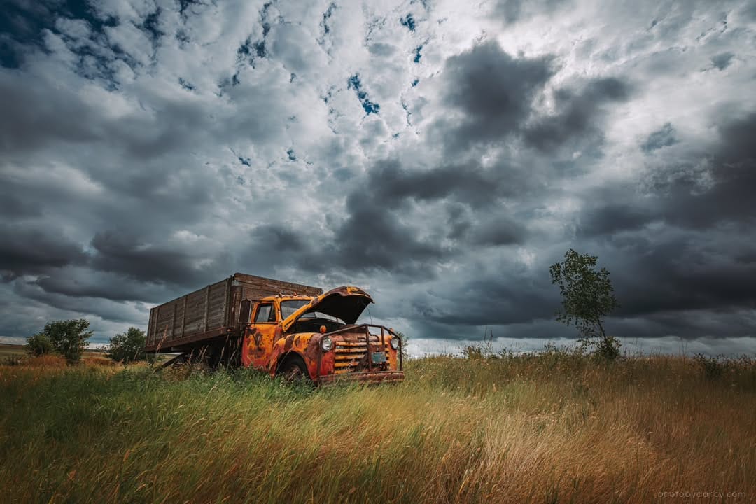 Post 8 by Darcy S. on Instagram (image)