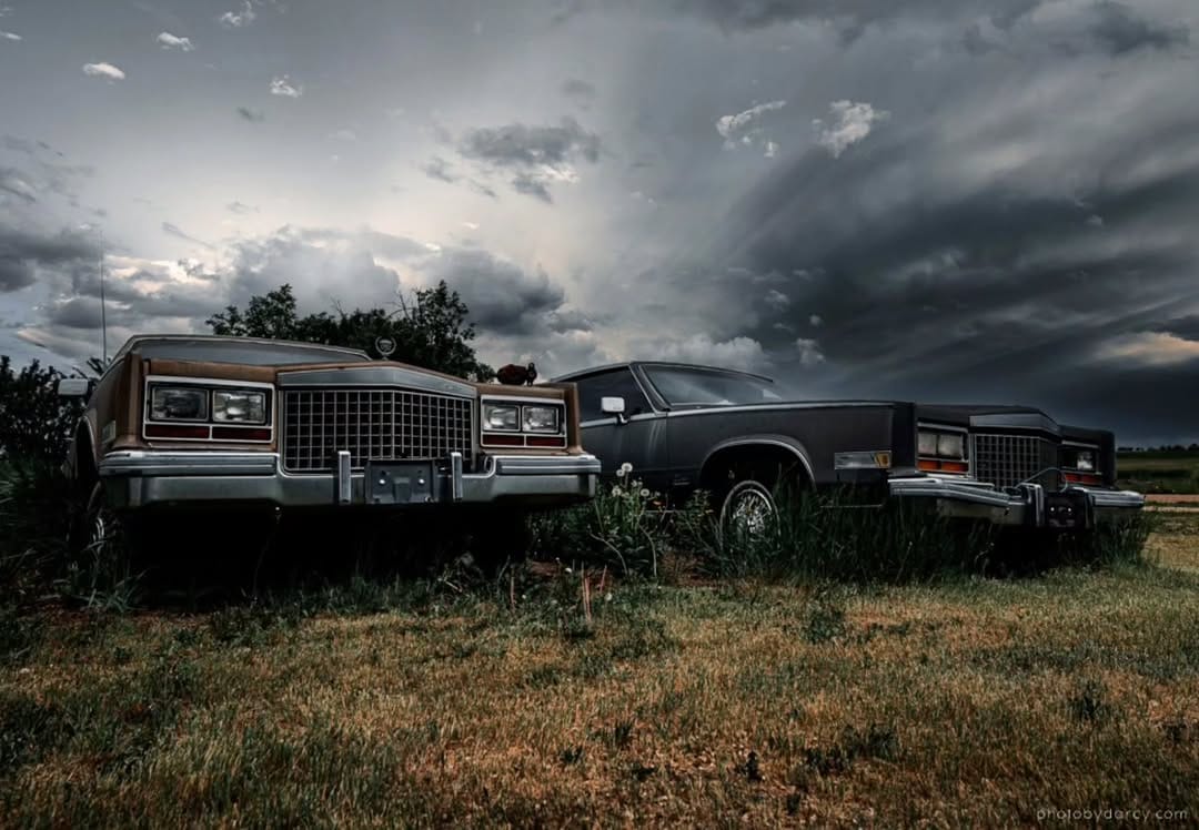 Post 3 by Darcy S. on Instagram (image)