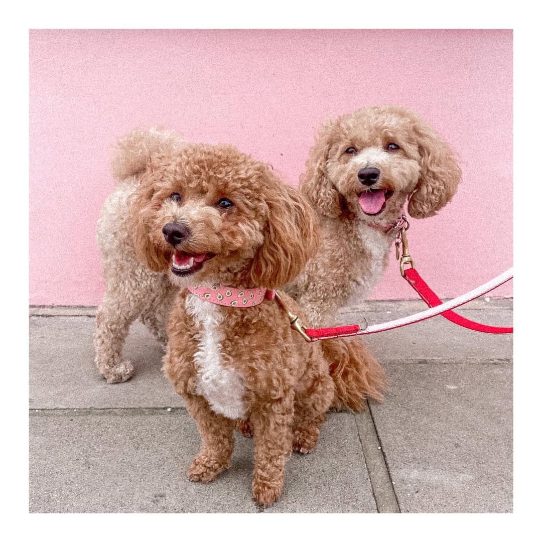 Post 10 by Florence & Ottie on Instagram (image)