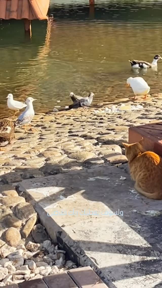 Post 1 by MomentsByRuba on Instagram (video)