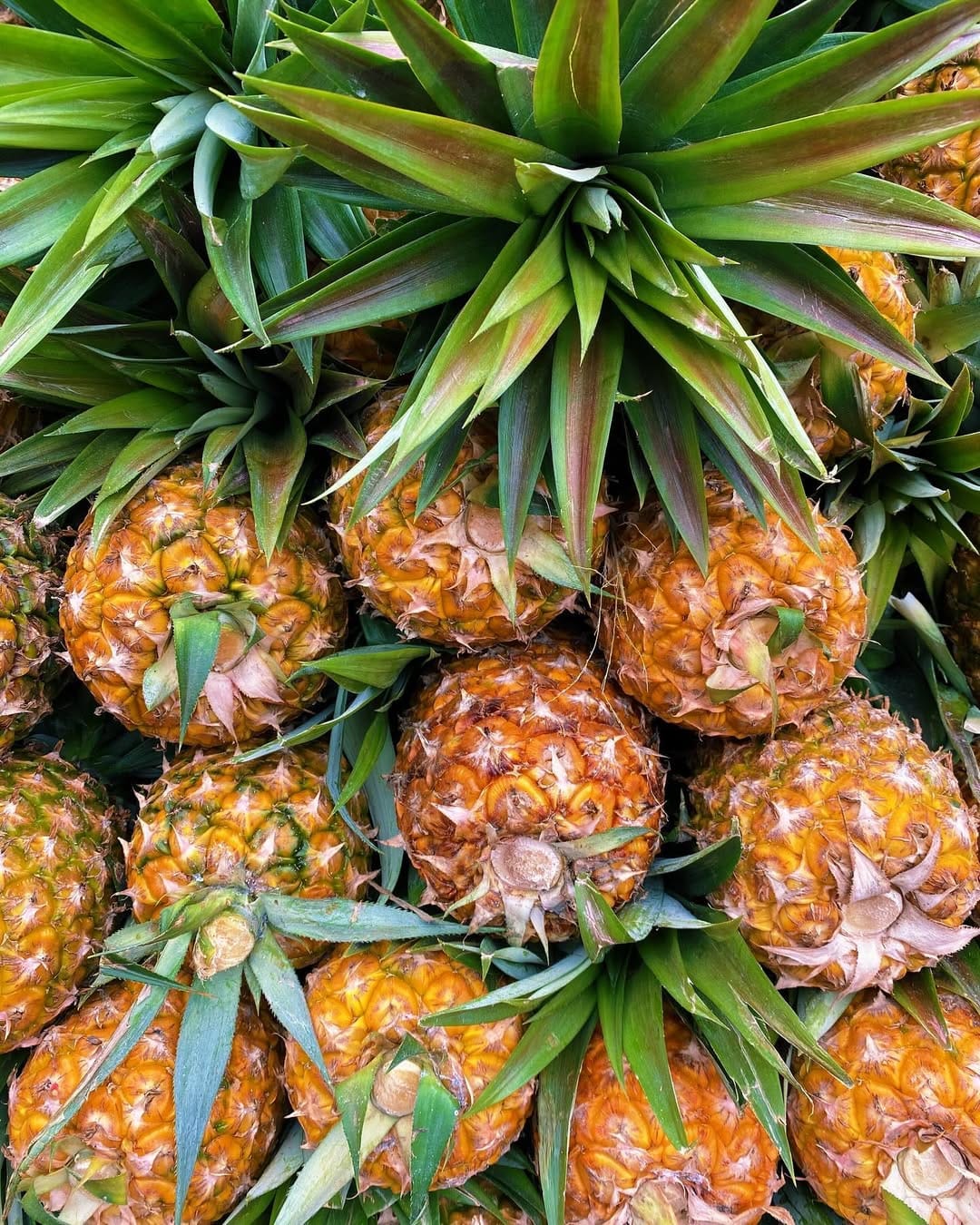 Post 3 by Nutriólogos en Veracruz on Instagram (image)
